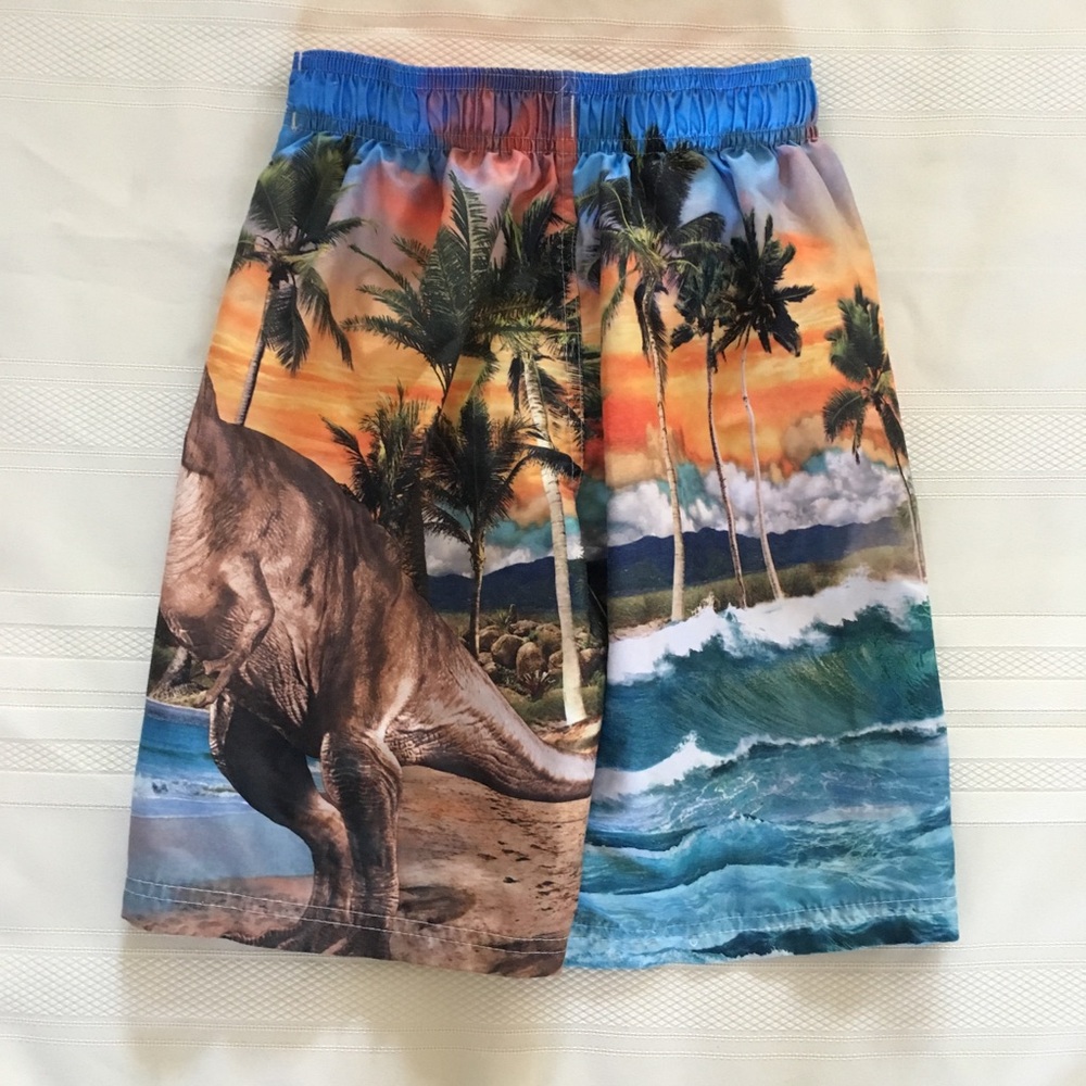 Boys Swim Trunks Shirts T-Rex Dinosaurs Sunglasses - Picture 2 of 6
